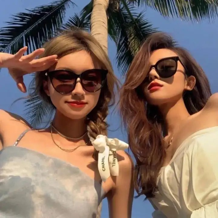 琴与罗莎