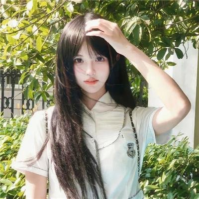 极地熊踪